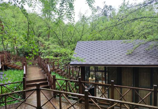 Foping Baima Star Boutique B&B Hotel Overview