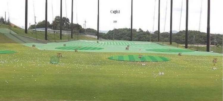 神户三田希莱顿高级酒店(The Celecton Premier Kobe Sanda Hotel)图片