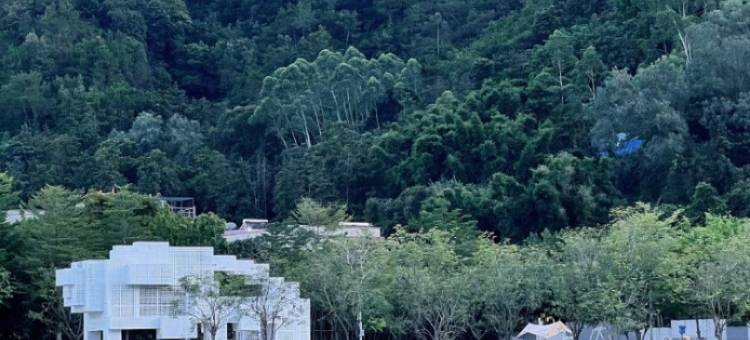 蜂蜜小蛋糕公寓(山谷南路东分店)图片