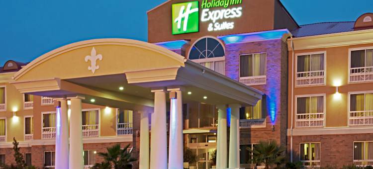 智选假日套房酒店亚历山德里亚(Holiday Inn Express & Suites Alexandria)图片