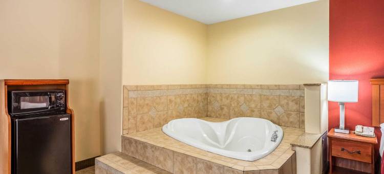 舒适套房酒店(Comfort Suites)图片