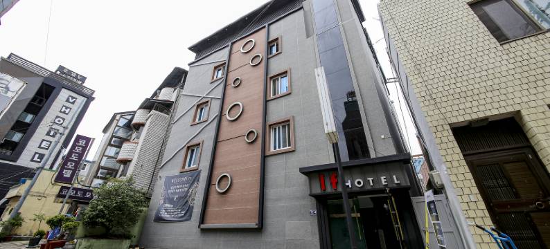 晋州IF(Pearl IF)图片