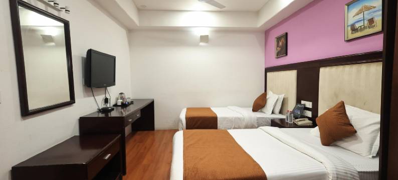 德夫艾迪酒店(Dev Aadi Hotel)图片