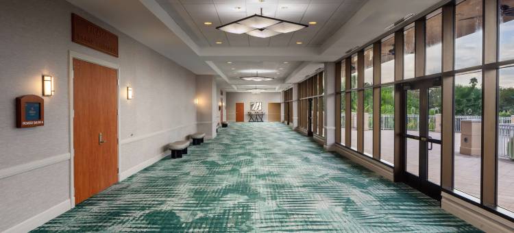 圣彼得堡卡里永希尔顿酒店(Hilton St. Petersburg Carillon Park)图片