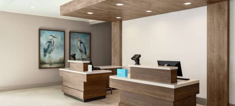 希尔顿花园旅馆-棕榈海岸镇中心(Hilton Garden Inn Palm Coast Town Center)图片