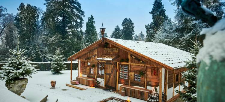 克罗尔伯格施罗斯酒店(Schlosshotel Kronberg - Hotel Frankfurt)图片