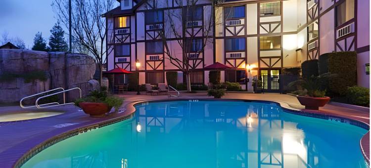 Holiday Inn 塞尔玛 - SWANCOURT(Holiday Inn Selma-Swancourt)图片