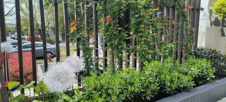 四季草堂度假别墅(访仙路分店)图片