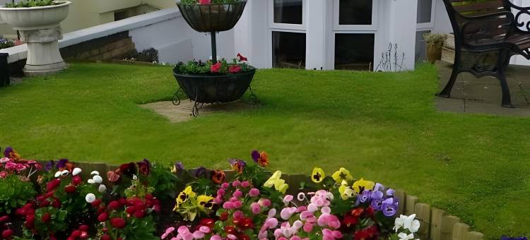 绿洲酒店(The Oasis)图片