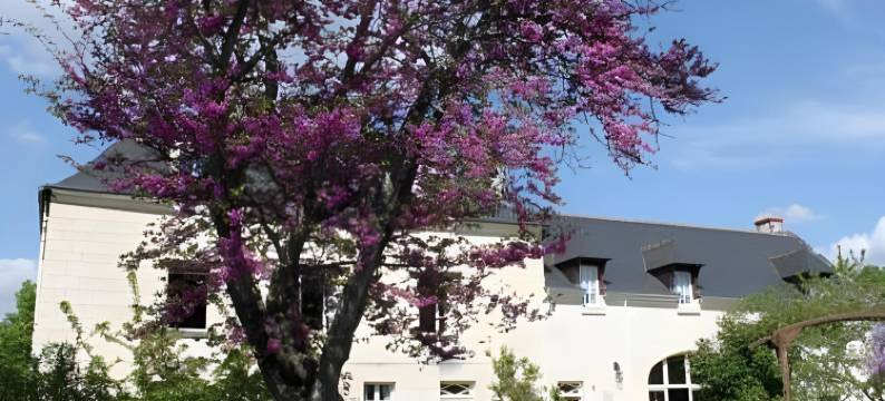 拉麦格讷瑞酒店(La Magnanerie)图片