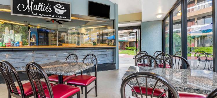 国际大道克拉丽奥酒店(Clarion Inn Orlando International Drive - Icon Park)图片