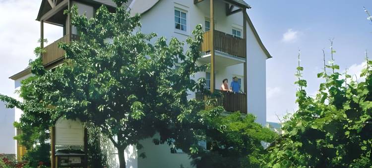 克瑞斯特卡鲁赛瑞塔酿酒厂和旅馆(Gästehaus Mit Weitblick im Weingut Christoph Clüsserath Und Bernhard Eifel)图片
