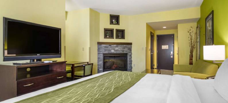 雅典舒适酒店(Comfort Inn Athens I - 75)图片