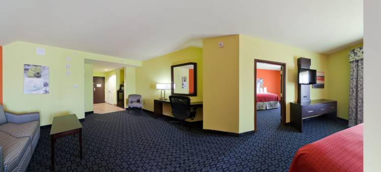 Holiday Inn 花环(Holiday Inn Dallas - Garland)图片