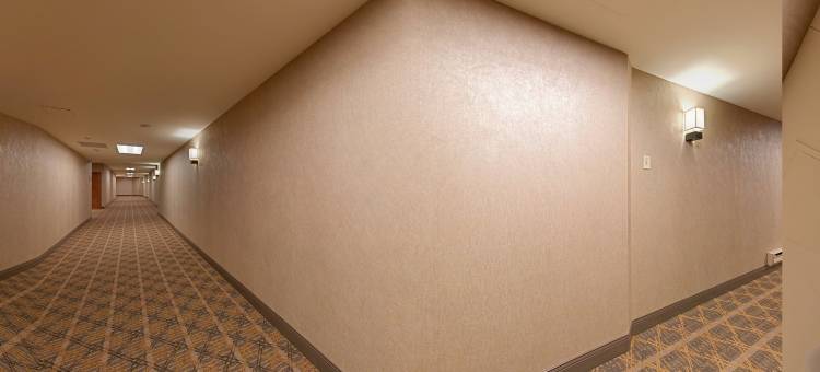 芝加哥河畔喜来登大酒店(Sheraton Grand Chicago Riverwalk)图片