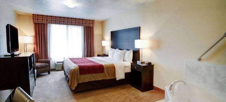 舒适套房酒店(Comfort Inn & Suites)图片