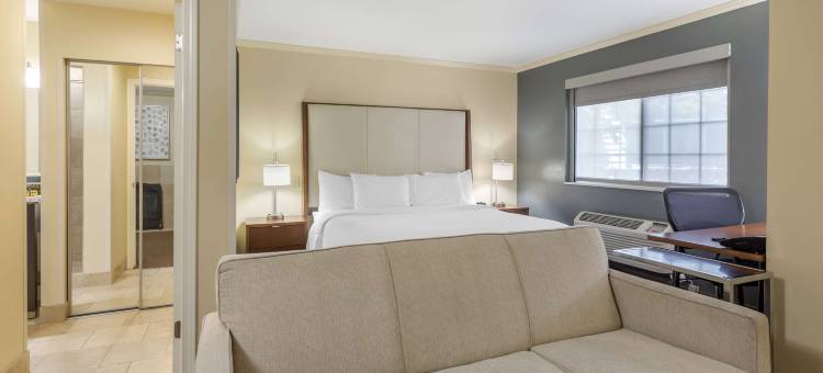 木棉树贝斯特韦斯特优质酒店(Best Western Plus CottonTree Inn)图片