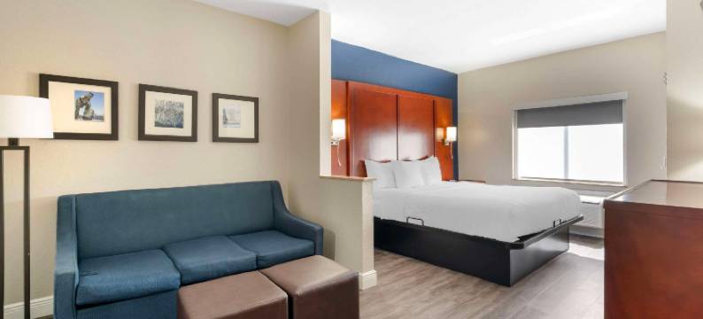 杰克逊维尔西舒适套房酒店(Comfort Suites West Jacksonville)图片