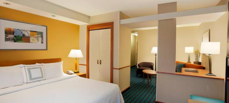 罗穆勒斯底特律都会机场万枫酒店(Fairfield Inn & Suites Detroit Metro Airport Romulus)图片