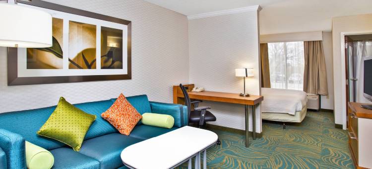 芝加哥西南布尔里奇/欣斯代尔SpringHill Suites 酒店(SpringHill Suites by Marriott Chicago Southwest at Burr Ridge/Hinsdale)图片
