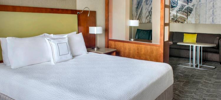 长岛布莱克海文万豪SpringHill酒店(SpringHill Suites Long Island Brookhaven)图片