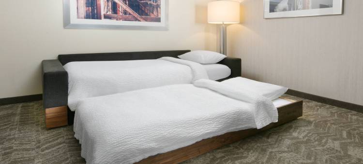 圣安东尼奥西北里姆SpringHill Suites酒店(SpringHill Suites San Antonio Northwest at the Rim)图片