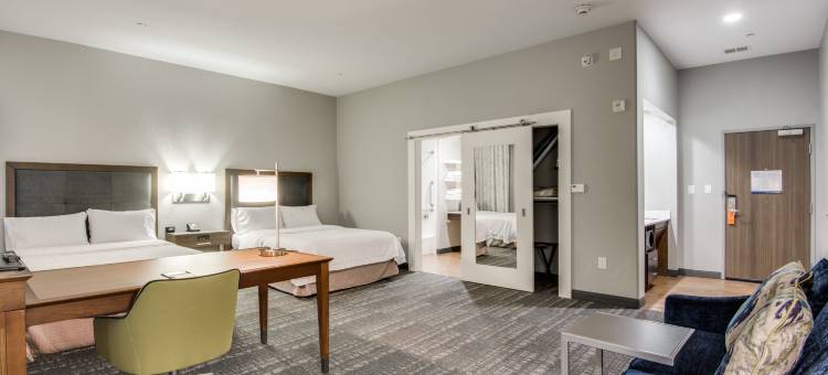 达拉斯/沃斯堡机场南欢朋套房酒店(Hampton Inn & Suites Dallas/Ft. Worth Airport South)图片