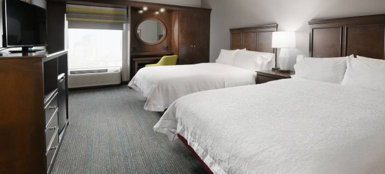 希尔顿欢朋套房酒店-休斯顿医学中心/雷莱恩公园(Hampton Inn & Suites Houston Medical Center NRG)图片