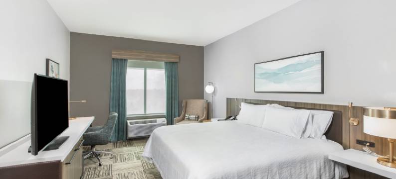 希尔顿花园酒店哈灵根会议中心(Hilton Garden Inn Harlingen Convention Center)图片