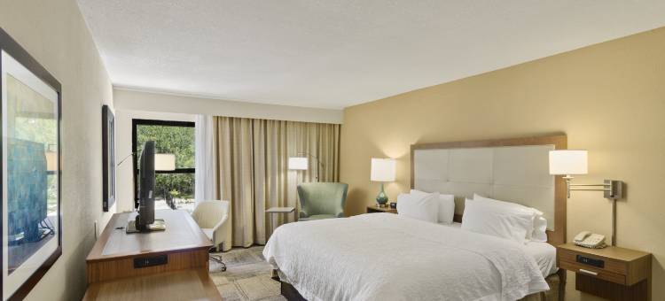 希尔顿欢朋酒店-多拉山(Hampton Inn Mt. Dora)图片