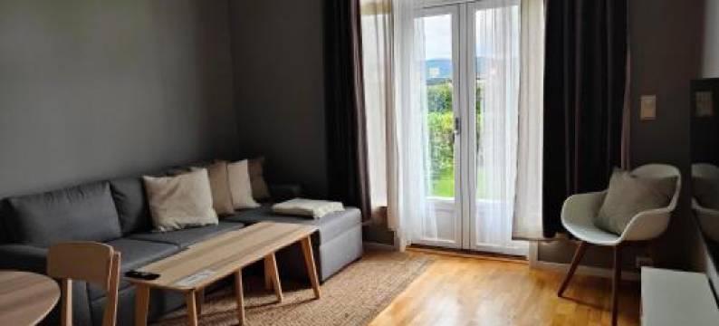 埃维耶公园酒店(Evje Park)图片