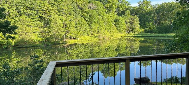 HotTub! FirePit, Private 2.5 acre Pond, 2 Kayaks! GameRoom! Slps12+图片