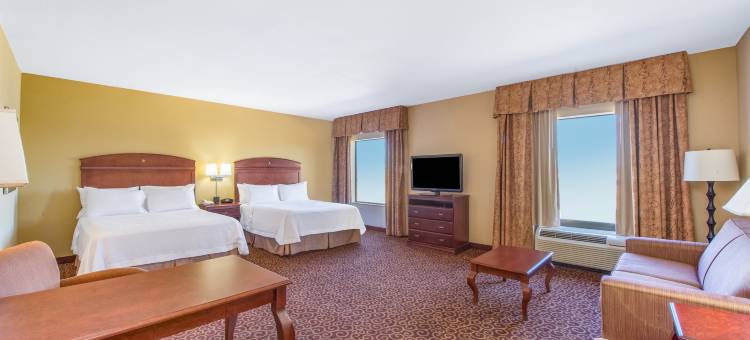 俄克拉何马城欢朋酒店及套房 - 南部(Hampton Inn & Suites Oklahoma City-South)图片