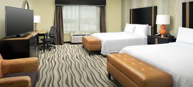 埃尔帕索东欢朋套房酒店(Hampton Inn & Suites El Paso-East)图片