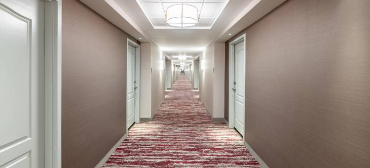 康瑟尔布拉夫斯奥马哈东希尔顿花园酒店(HIlton Garden Inn Omaha East/Council Bluffs)图片