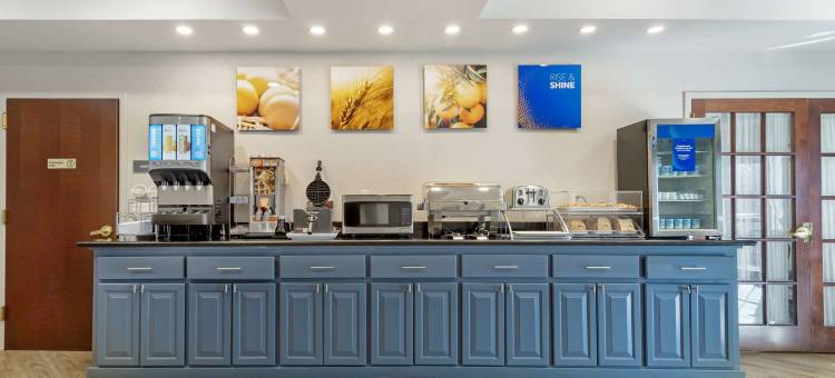 东布朗士维克南河舒适套房酒店(Comfort Suites East Brunswick - South River)图片