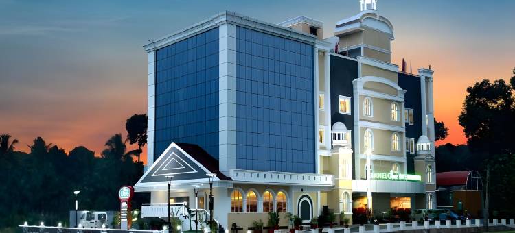 奥莉芙国际酒店(Hotel Olive International)图片