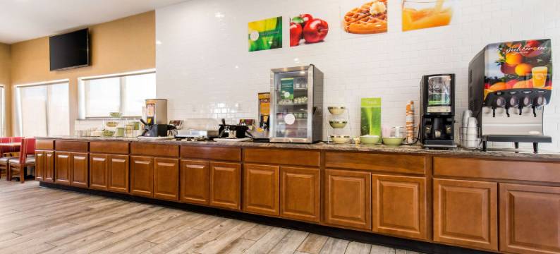 乔治城-西福德凯艺套房酒店(Quality Inn & Suites Georgetown - Seaford)图片