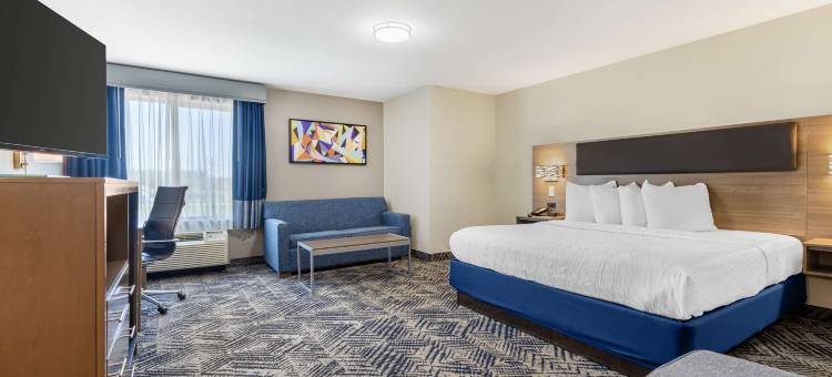 路易斯维尔科佩尔贝斯特韦斯特优质酒店(Best Western Plus Lewisville Flower Mound)图片