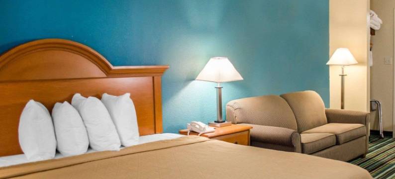 麦地那阿克伦西凯艺套房酒店(Quality Inn & Suites Medina - Akron West)图片