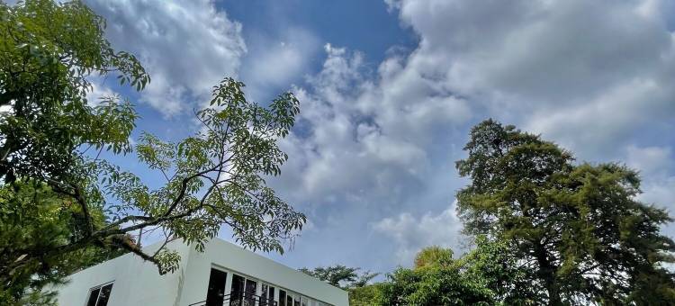 圣尼古拉斯农庄酒店(Hotel Finca San Nicolas)图片