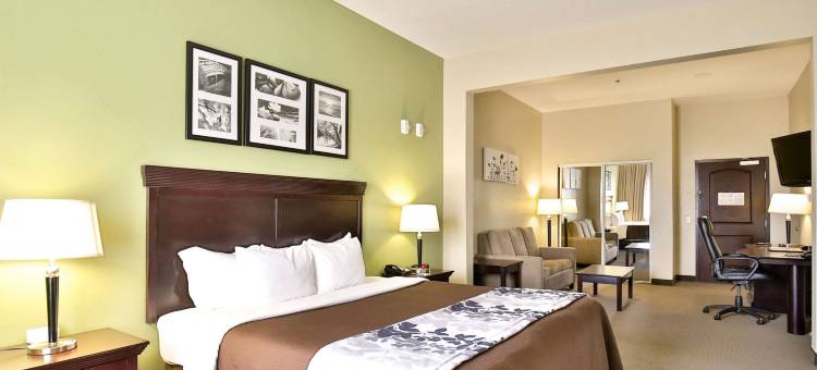 大学舒眠酒店及套房(Sleep Inn & Suites University)图片