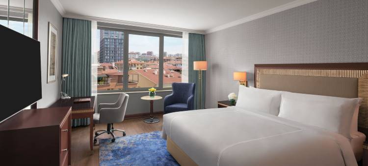 安卡拉迪万酒店(Divan Ankara)图片