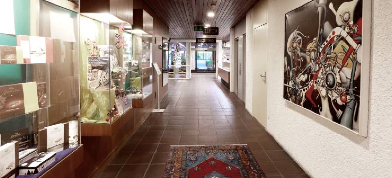 自助登记的图尔高霍夫酒店(Hotel Thurgauerhof Self-Check-IN)图片