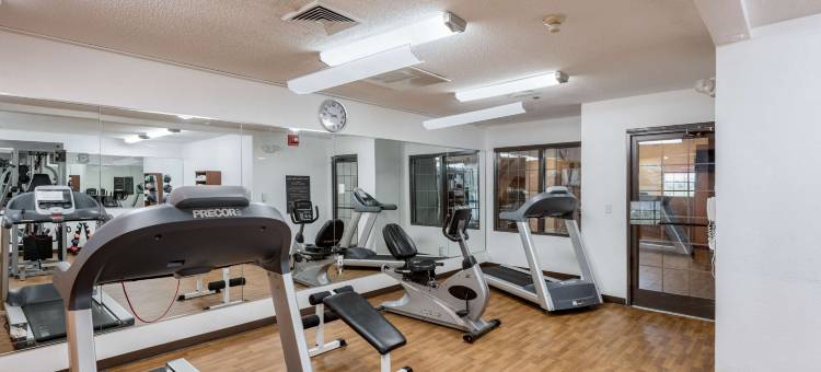 门罗舒适套房酒店(Comfort Suites Monroe)图片
