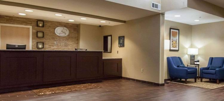 舒适套房酒店-中心/44号州际公路(Comfort Suites Central-I-44)图片