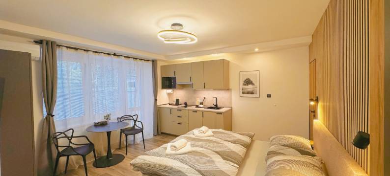 布里涅住宿酒店(Ubytování V Brně - Schodová)图片