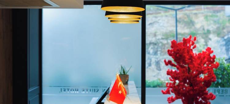 特拉布宗柏林套房酒店(BERLİN SUITE HOTEL)图片