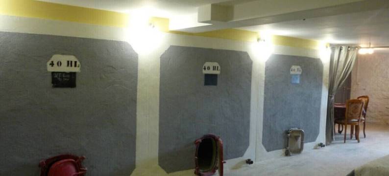 里维耶尔公寓(Le Logis du Livier)图片