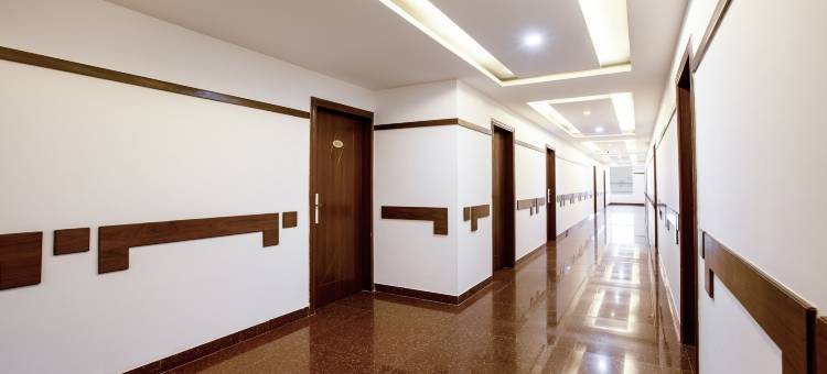 Treebo 新加点(Treebo New Plus Point)图片